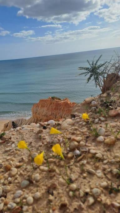 Apartment Da Falesia, O Estudio Da Aldeia Acoteias Albufeira